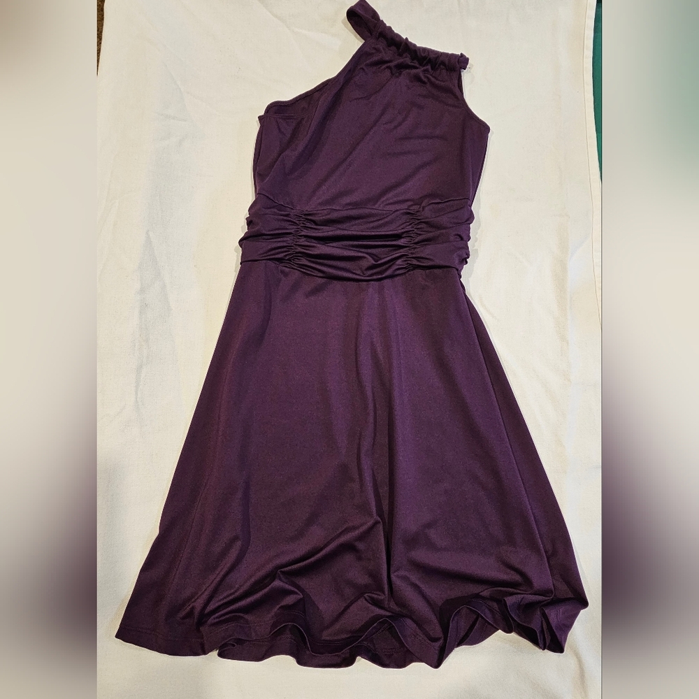 Avon One Shoulder Dress in Deep Purple